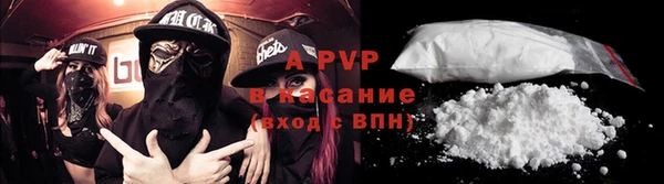 прущие грибы Верхнеуральск