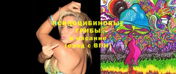 прущие грибы Верхнеуральск