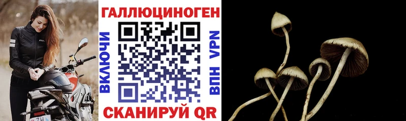 ссылка на мегу зеркало  Горбатов  Галлюциногенные грибы Magic Shrooms 